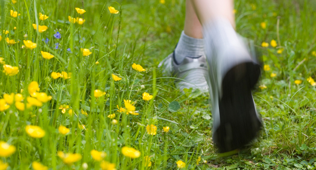 HOW TO COPE WITH HAYFEVER & RUNNING