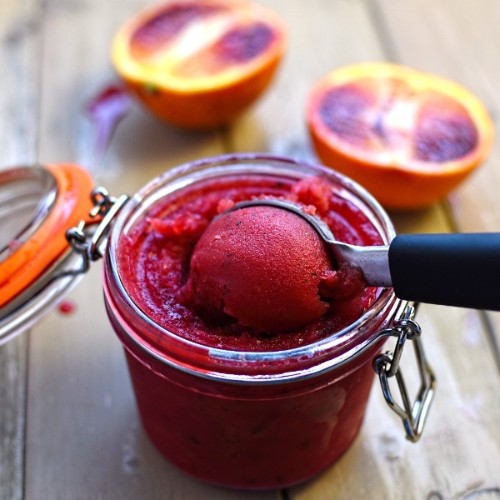 Blood Orange Sorbet